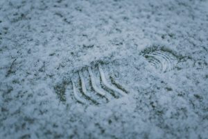 Footprint on snow