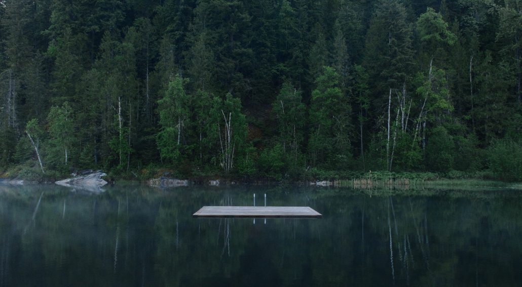 White wooden dock in a lake