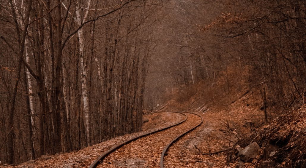 Photo of a train rail between forest | Matt Fox Coaching