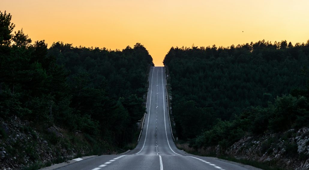 Asphalt road between the trees