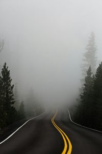 Empty road surrounded with trees and fog