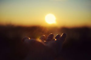 A hand reaching toward the setting sun with warm golden light illuminating the sky