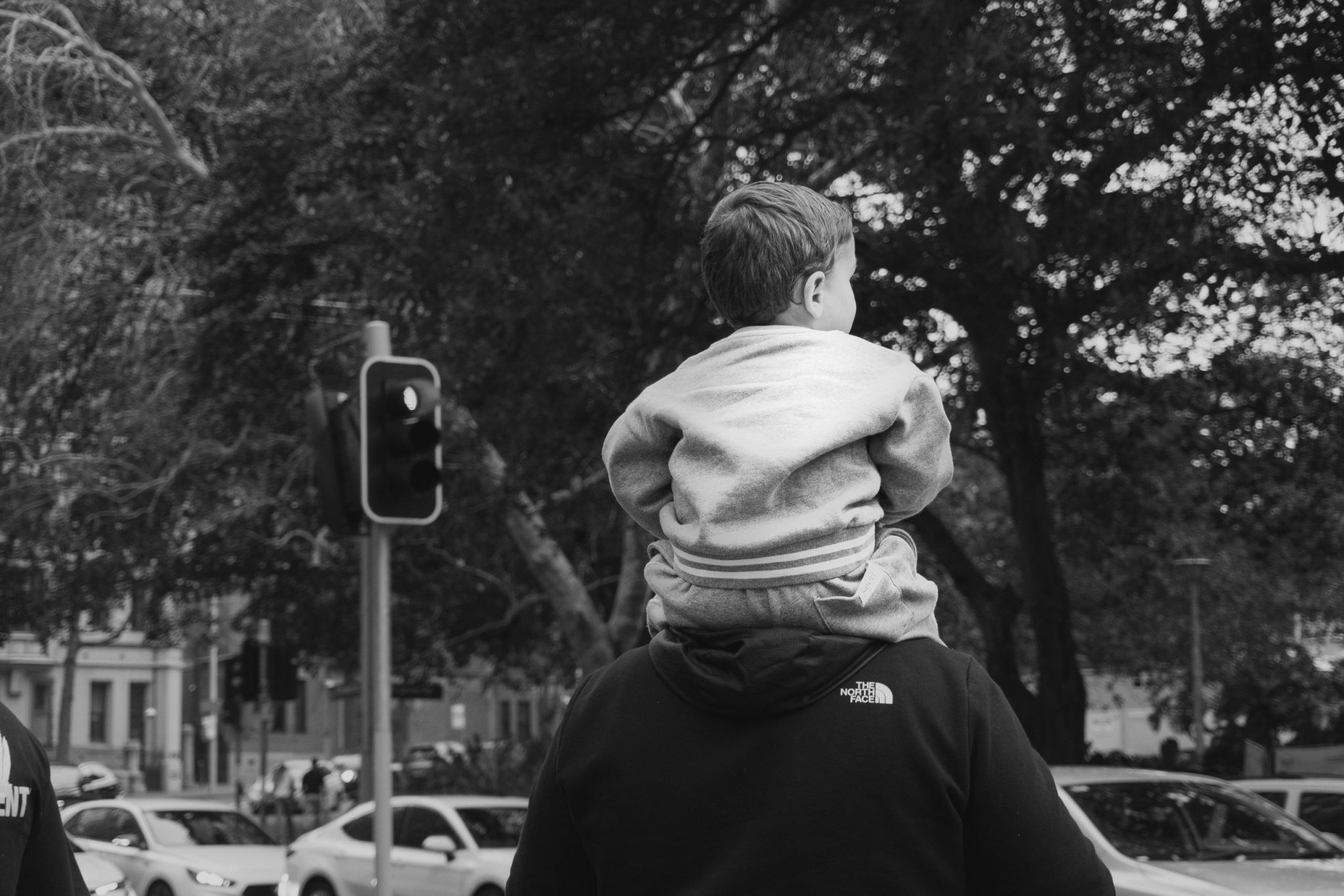 Child sitting on an adult’s shoulders at a city crosswalk.