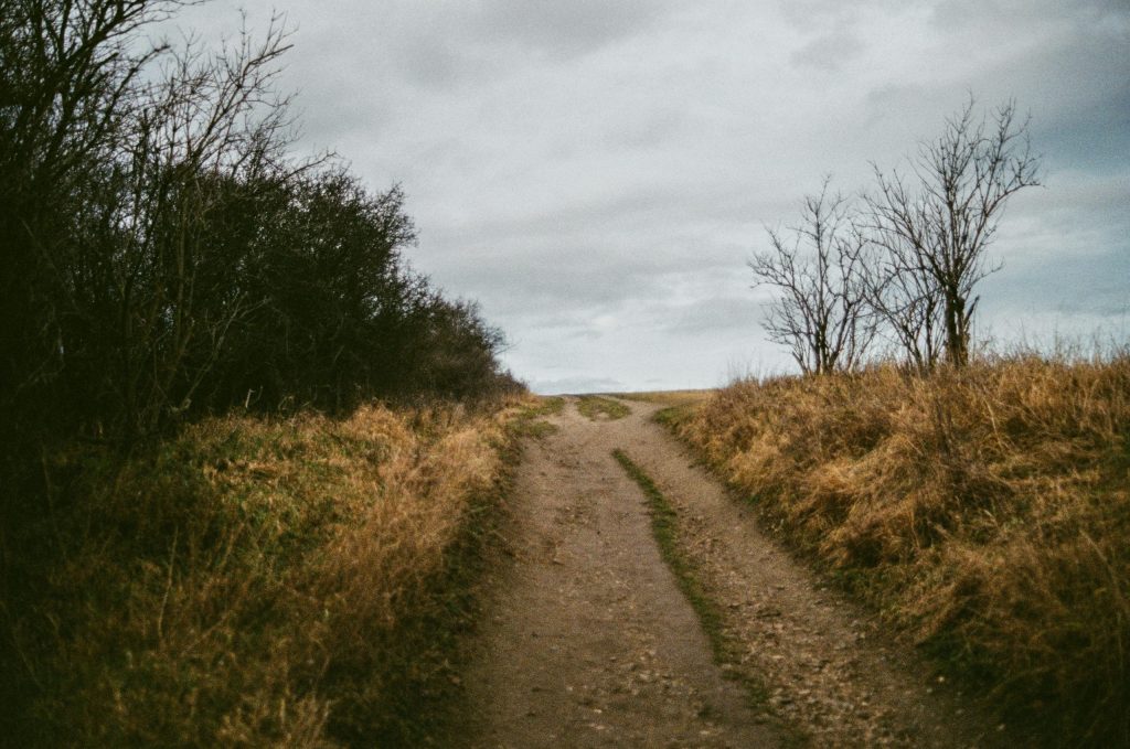 Open field pathway