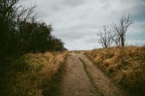Open field pathway